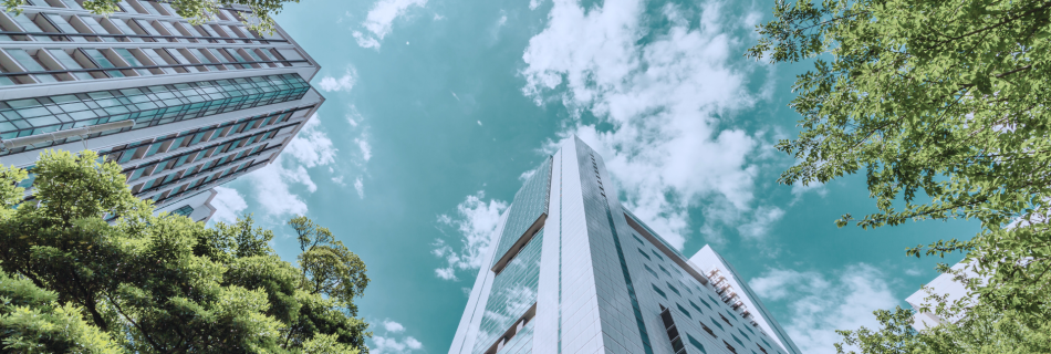 High rises surrounded by greenery representing LEED certification in Canada.