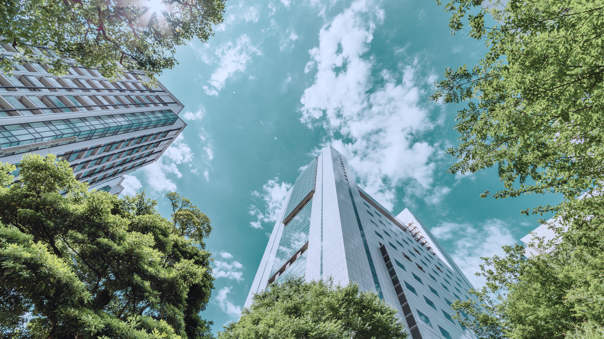 High rises surrounded by greenery representing LEED certification in Canada.