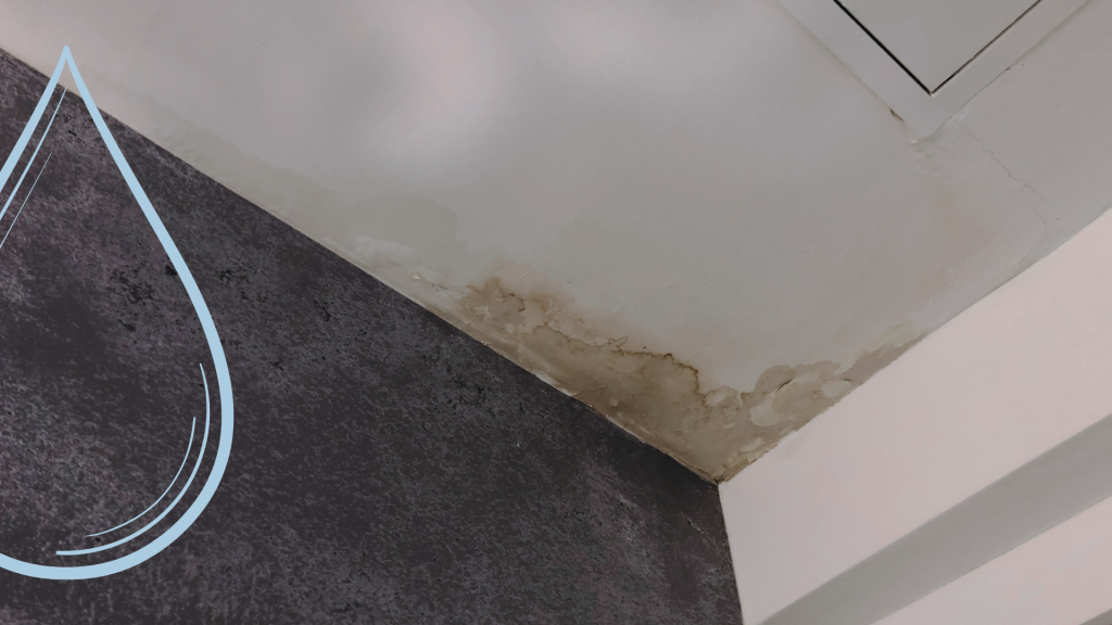 A water damaged ceiling where a leak detection sensor was not in place
